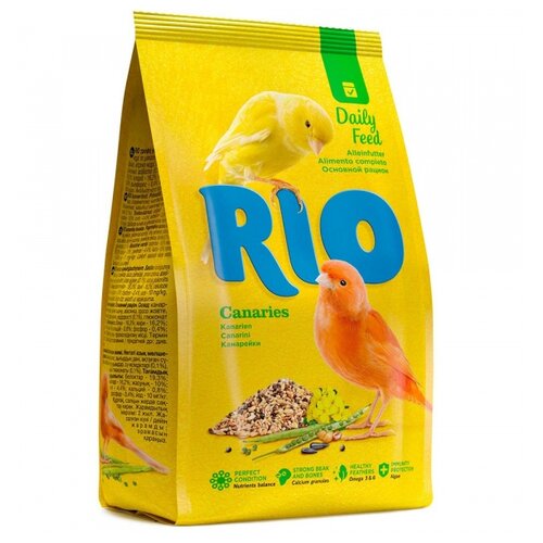  RIO  Daily feed  , 500    -     , -,   
