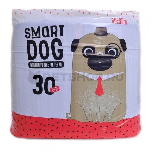  SMART DOG   (30 ), 60*90  ABCD   -     , -,   