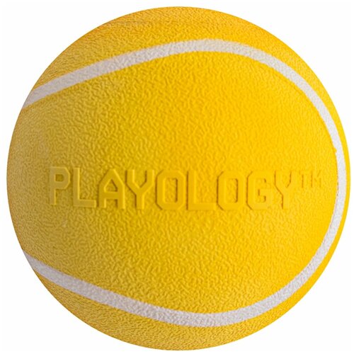  Playology   SQUEAKY CHEW BALL 8             ,     1 .      -     , -,   