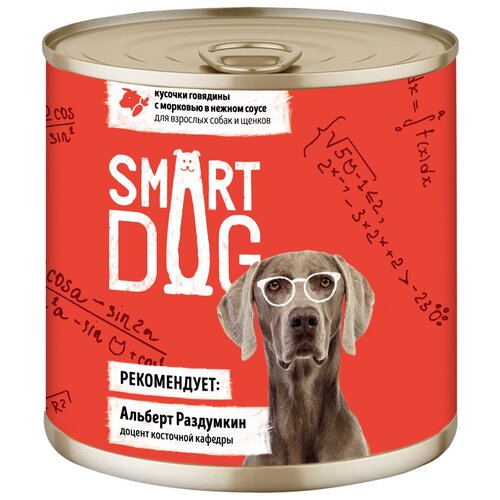  Smart Dog               2216 43737 0,24  43737 (10 )   -     , -,   