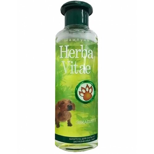  Herba Vitae      250