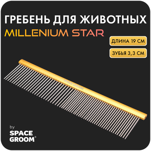       Millennium Star 19 ,       , Space Groom,   3,3    -     , -,   