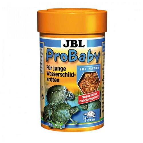  JBL ProBaby -      , 100  (13 )   -     , -,   