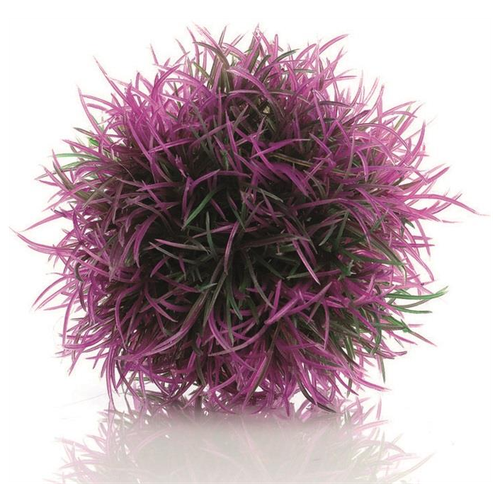    , Aquatic colour ball purple   -     , -,   