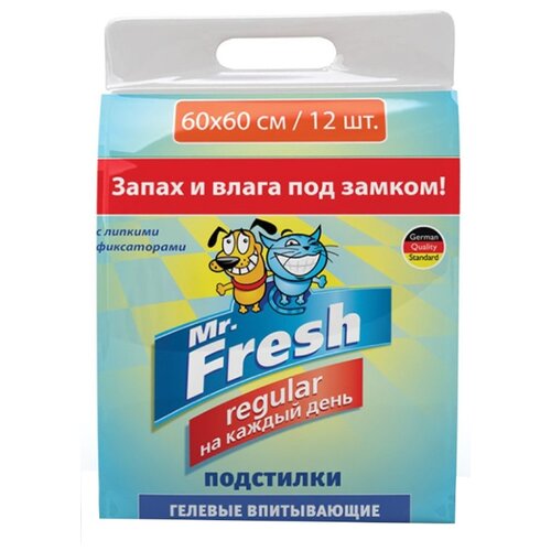  Mr.Fresh Expert (Neoterica) Regular   ,  60*60 , 24    -     , -,   