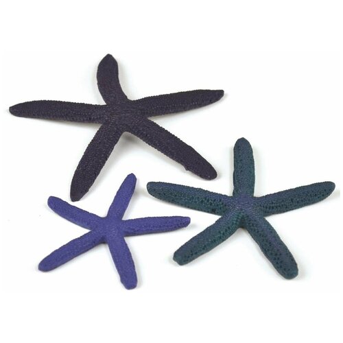     , Starfish set 3 blue   -     , -,   