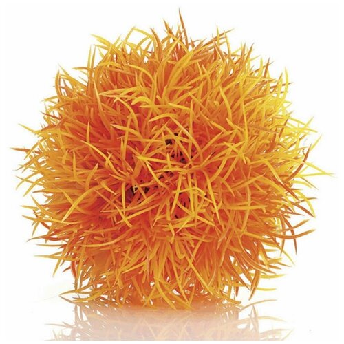    , Aquatic colour ball orange   -     , -,   