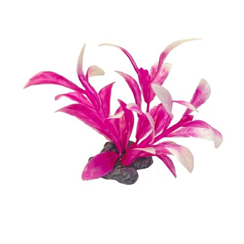        Tetra DecoArt Plant XS M Pink Refil 6  . 6  (1 )   -     , -,   