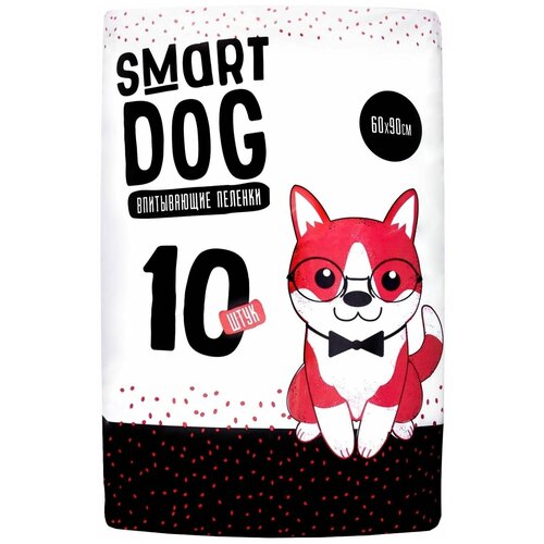      Smart Dog 60  40  (10 )   -     , -,   