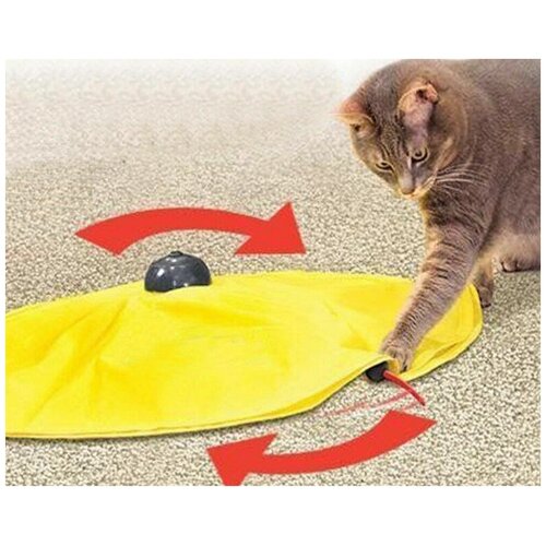      Cats Toy.   .
