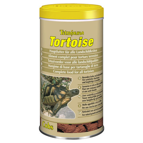  Tetra Tortoise 1       -     , -,   