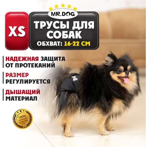      Mr Dog   ,   ,   , XS (16-22 )   -     , -,   