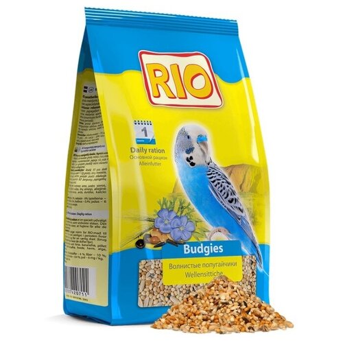   RIO   , 500  RIO 2071116 .   -     , -,   