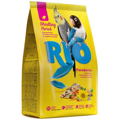  RIO    ,   , 500    -     , -,   