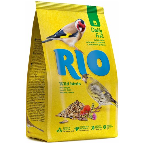 Rio       500    -     , -,   