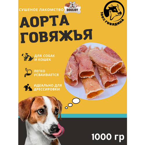  Dogsjoy    1000        -     , -,   