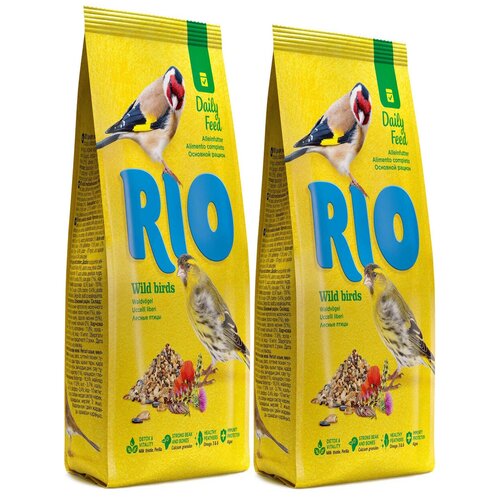   Rio   , 500  2    -     , -,   