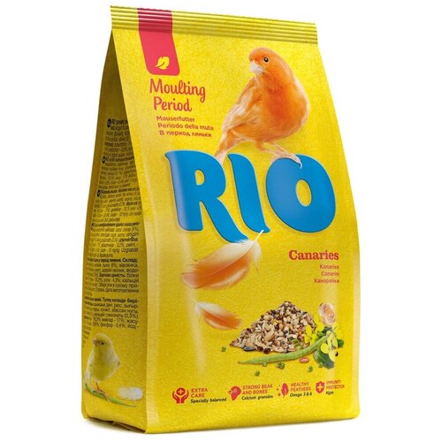  Rio -       500    -     , -,   