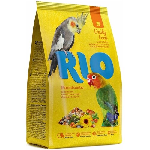   RIO   , 500    -     , -,   