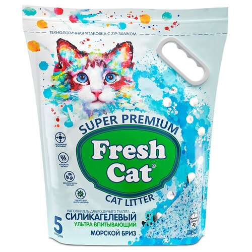    Fresh Cat  , 5   -     , -,   