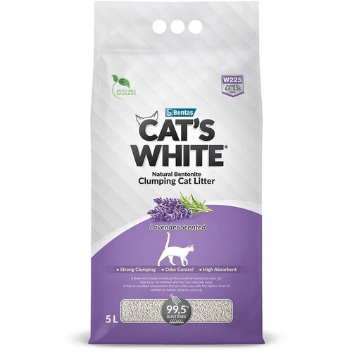       Cat's White Lavender     5 ./4,3 .   -     , -,   