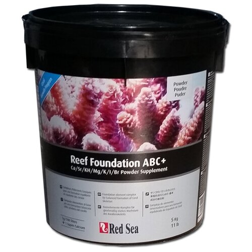   Red Sea Reef Foundation complete 1   -     , -,   