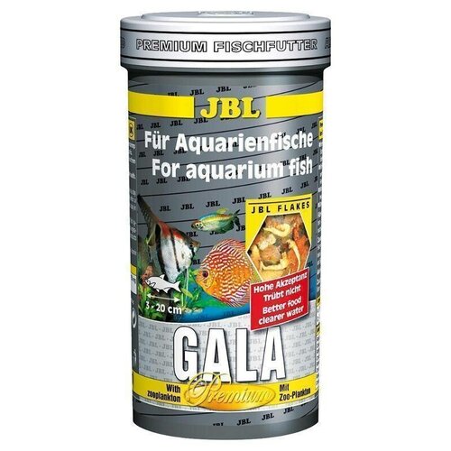      JBL GMBH & CO. KG JBL Gala    250 . (30 .)   -     , -,   