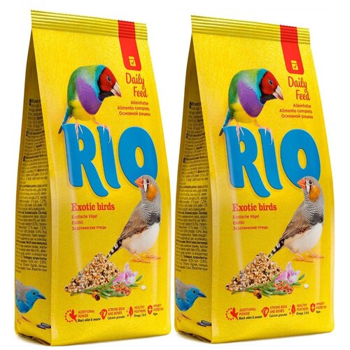   Rio   , 500   2    -     , -,   