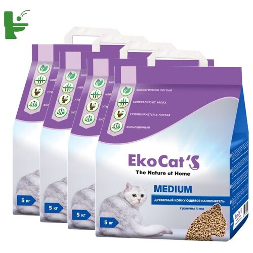   Eko Cats Medium   45   -     , -,   