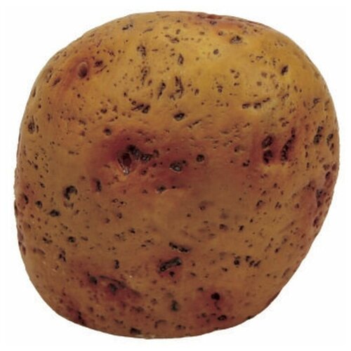  ArtUniq Potato Stone S -     