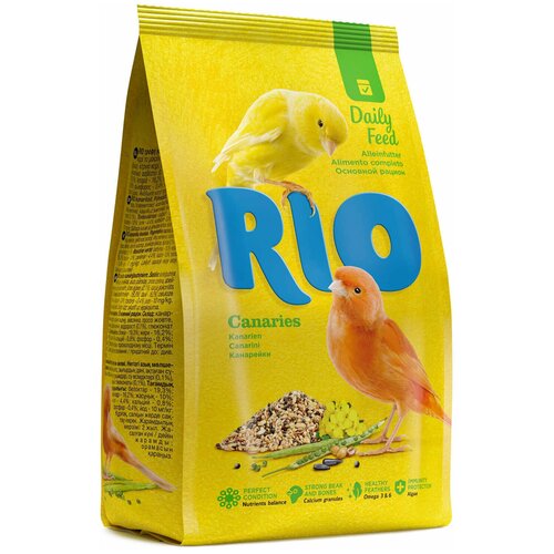  RIO   ,  1 *4    -     , -,   