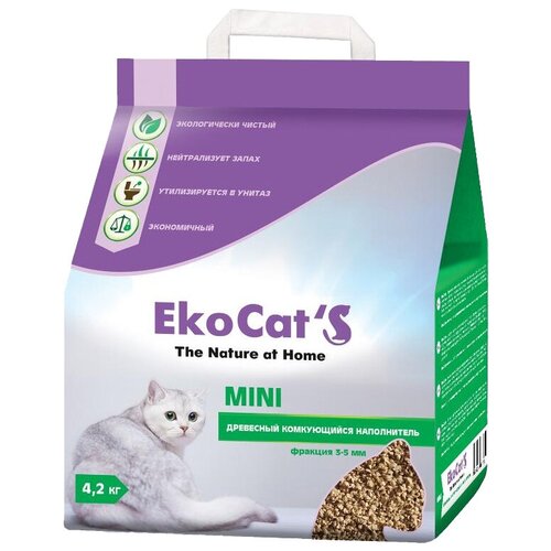   Eko Cats Mini   10   -     , -,   