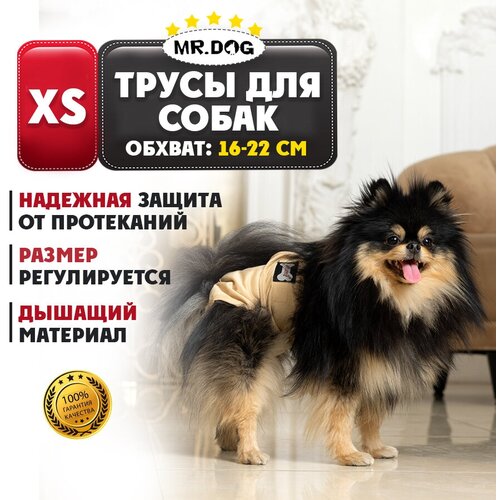      Mr Dog  ,   ,   , XS   -     , -,   