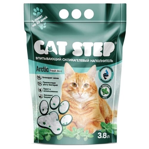     CAT STEP Arctic Fresh Mint, 3,8    -     , -,   