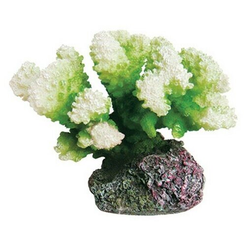  ArtUniq Coral Green -         -     , -,   