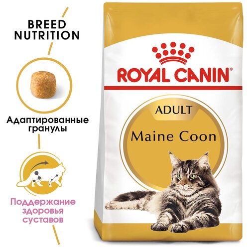  Royal Canin Maine Coon Adult         , 4    -     , -,   