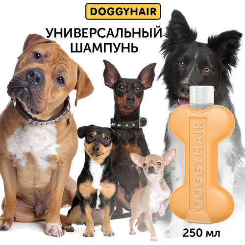  Doggyhair     ,      20   12  (240 )   -     , -,   