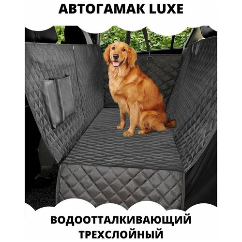      LUXE, 137147,    .   -     , -,   