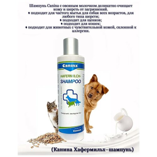  Canina Hafermilch-Shampoo       250  (1 )   -     , -,   