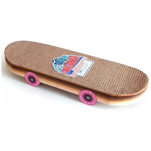     Skateboard   -     , -,   