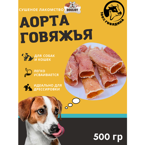  Dogsjoy    500        -     , -,   