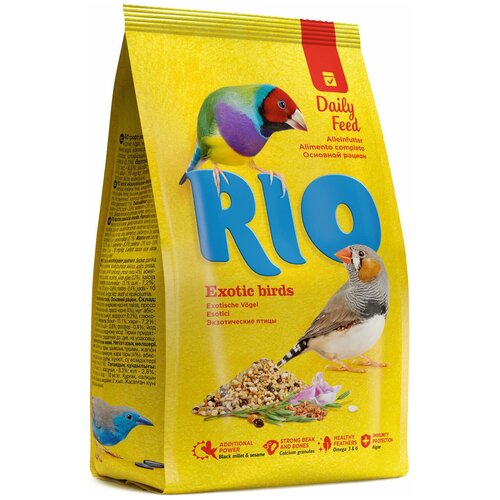      RIO, 500    -     , -,   