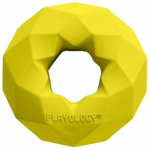  Playology   - CHANNEL CHEW RING   ,  (0.27 )   -     , -,   
