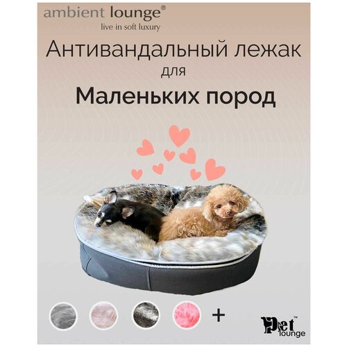       Pet Lounge, Ballerina Pink (),  S - 5060  -   , , -, ,    -     , -,   