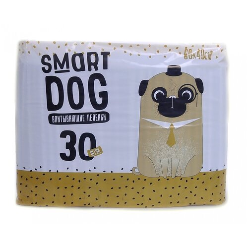  Smart Dog     60*40, 30 , 0,3    -     , -,   