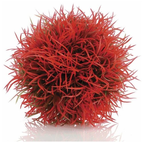    , Aquatic colour ball red   -     , -,   