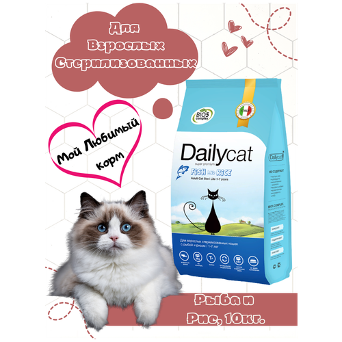    Dailycat            -     , -,   