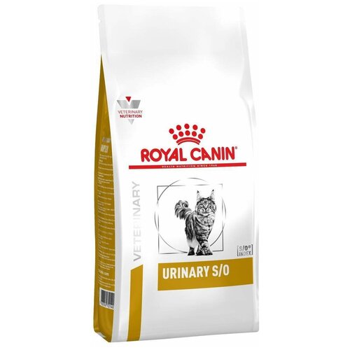  Royal Canin      34 () 1,5   -     , -,   