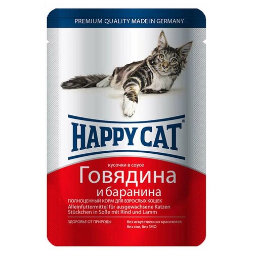      Happy Cat  ,   24 .  100  (  )   -     , -,   