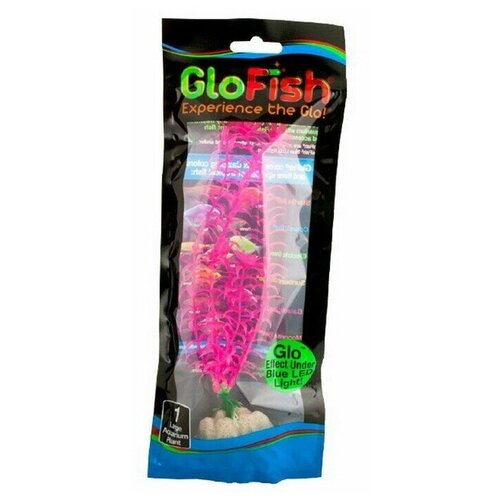    , GloFish, , L, 20 , , 1 .   -     , -,   